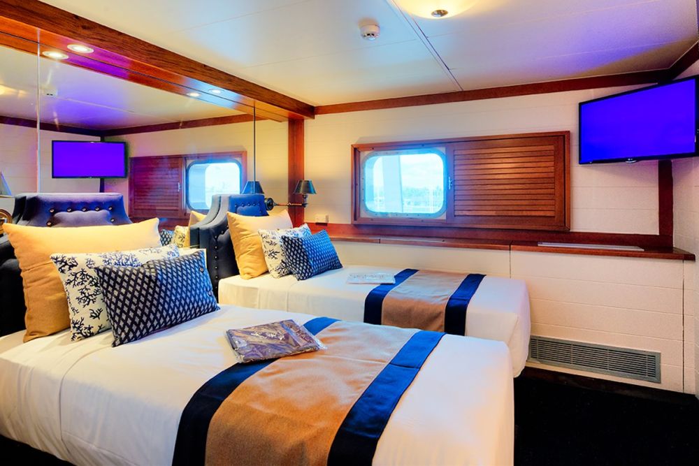 Kabine Kreuzfahrtschiff Fiji Princess, Südsee Reisen, Ozeanien Reisen, Blue Lagoon Cruise