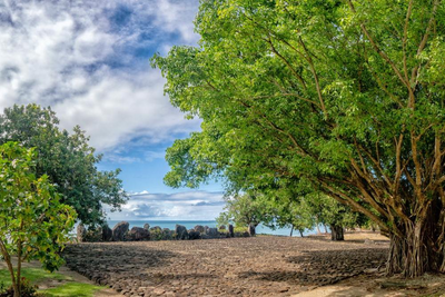 Heilige Stätte, Taputapuatea Marae, Raiatea, Südsee Hochzeitsreise, UNESCO