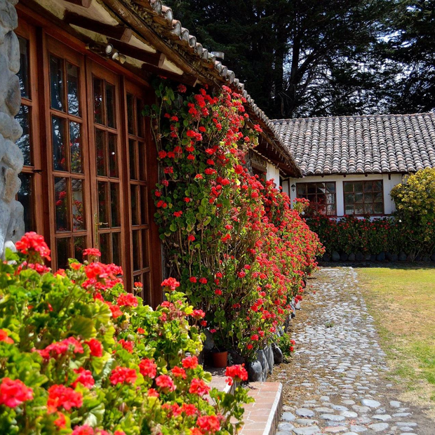 Eingangsbereich, Hacienda Santa Ana, Cotopaxi, Ecuador Flitterwochen