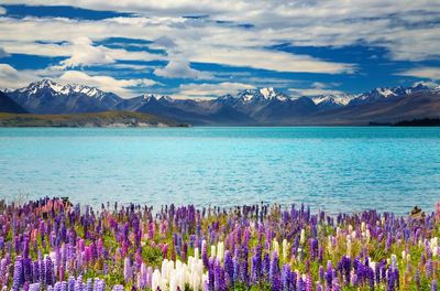 Lake Tekapo, Neuseeland Hochzeitsreise