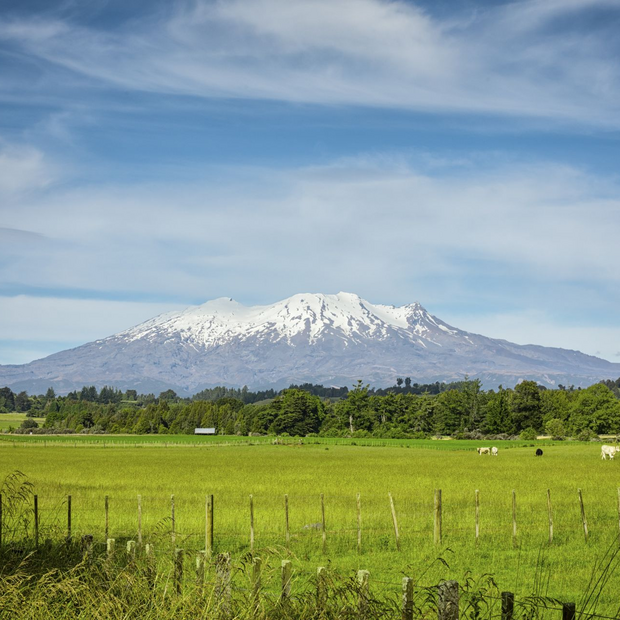 Willkommen in Ohakune, Neuseeland Hochzeitsreise