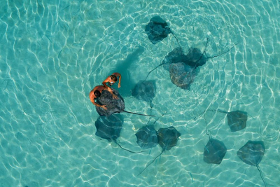 Mantarochen, InterContinental Moorea Resort & Spa, Südsee Hochzeitsreise, Natur