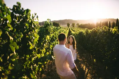 Paar im Weingarten, Cavas Wine Lodge, Mendoza, Argentinien Hochzeitsreise