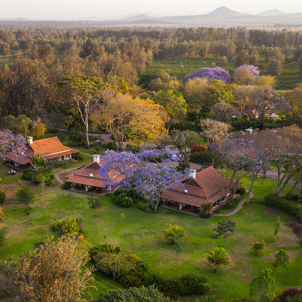Legendary Lodge, Arusha, Tansania Hochzeitsreise