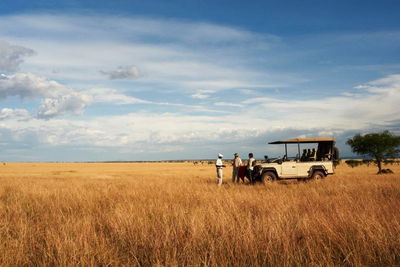 Safari, Singita Lebombo Lodge, Südafrika Flitterwochen