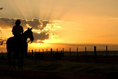 Heimreise, Estancia La Bamba de Areco, Buenos Aires, Argentinien Hochzeitsreise, Sonnenuntergang