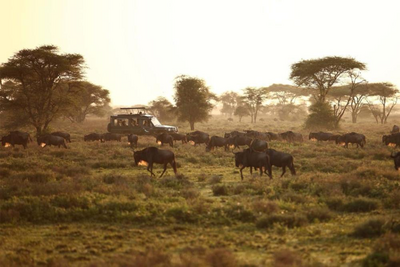 Safari im Tarangire Nationalpark, Tansania Hochzeitsreise, Sonnenuntergang