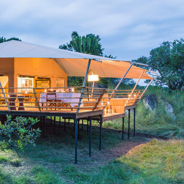 Bungalow, Serengeti Bushtops Camp, Tansania Flitterwochen