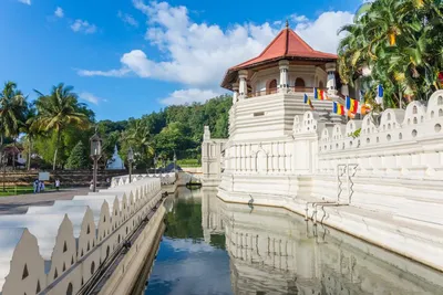 Zahntempel in Kandy, Sri Lanka Hochzeitsreise, Kultur