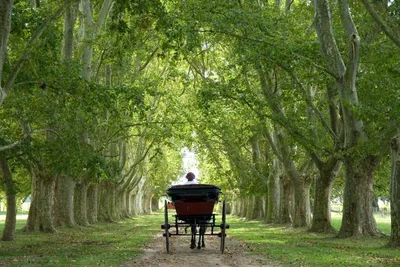 Kutschfahrt, Estancia La Bamba de Areco, Buenos Aires, Argentinien Hochzeitsreise, Romantik