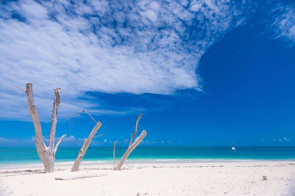 Strand, Denis Private Island, Seychellen Flitterwochen