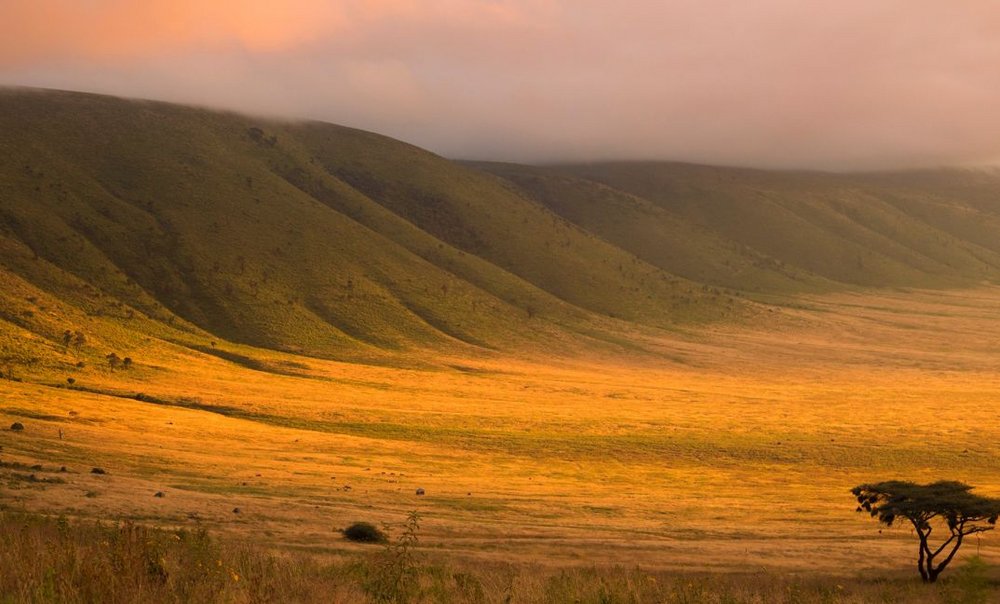 Ngorongoro Krater, Nomad Tanzania's Entamanu Ngorongoro, Tansania Flitterwochen